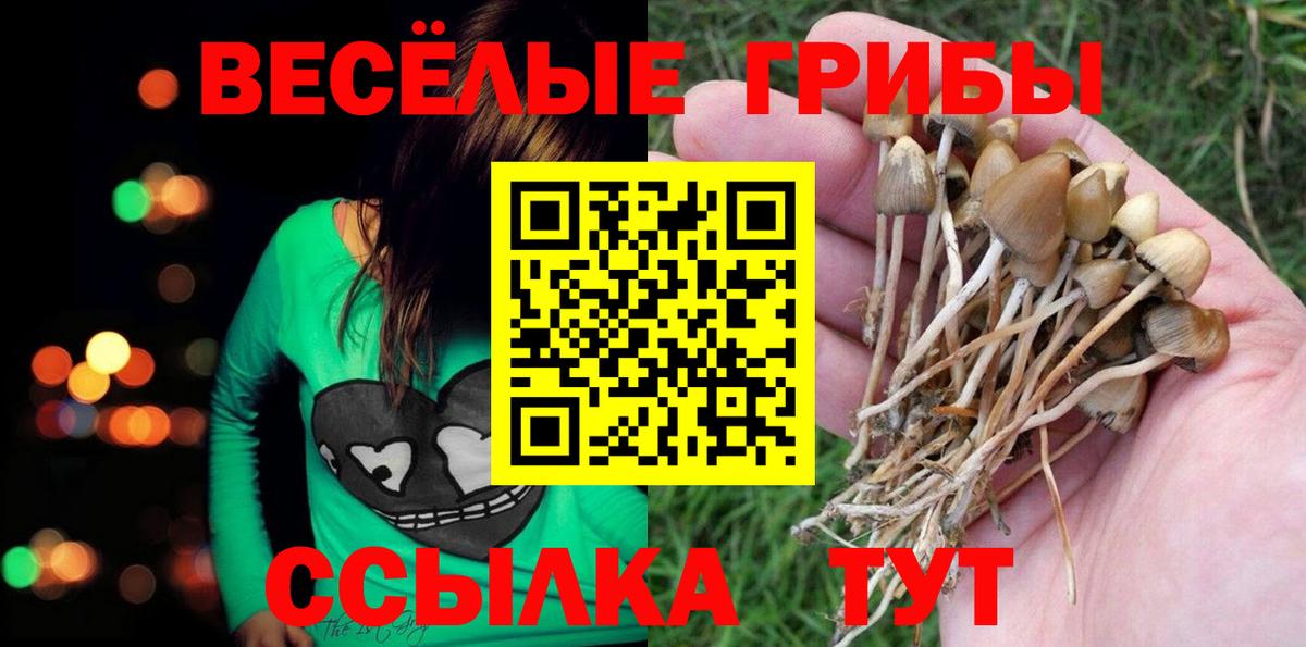 Псилоцибиновые грибы MAGIC MUSHROOMS Назрань